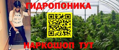 прущие крисы Заводоуковск