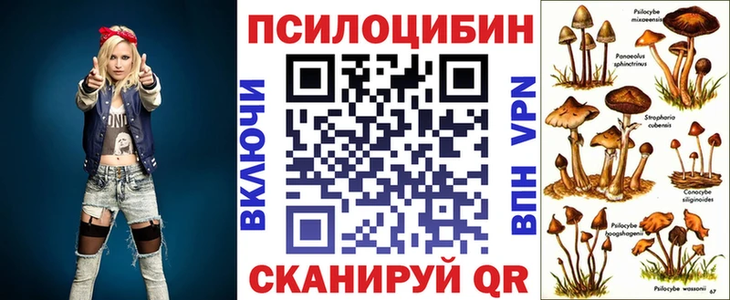 купить наркотики цена Нефтекамск Псилоцибиновые грибы мухоморы